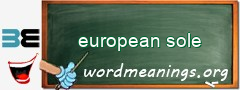 WordMeaning blackboard for european sole